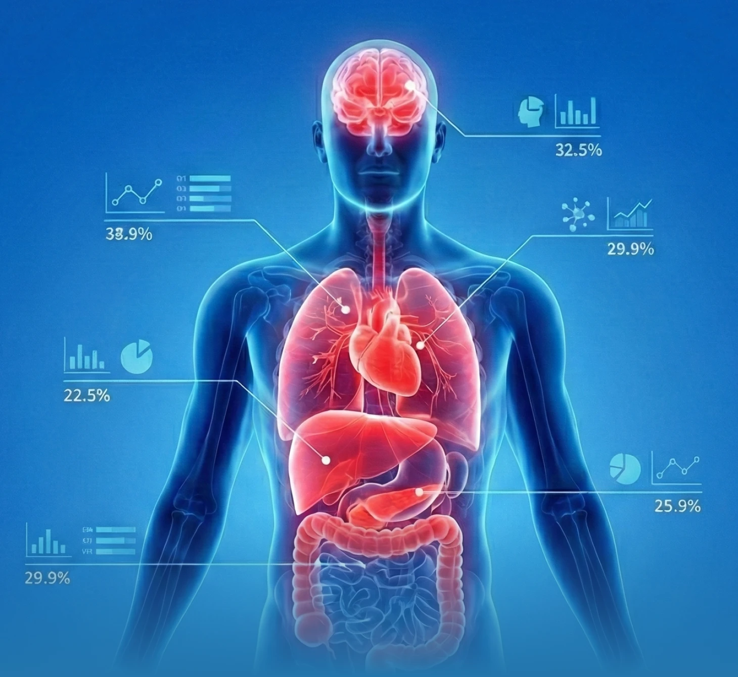 메인 비주얼 이미지