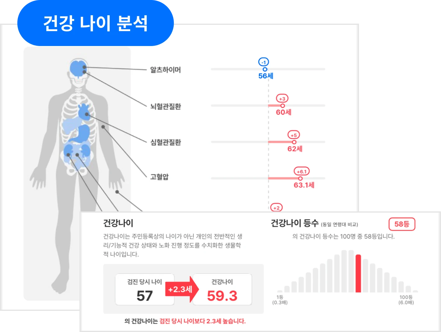 건강 나이 분석 이미지