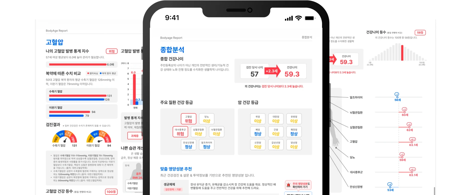 바디에이지 리포트 박스 이미지